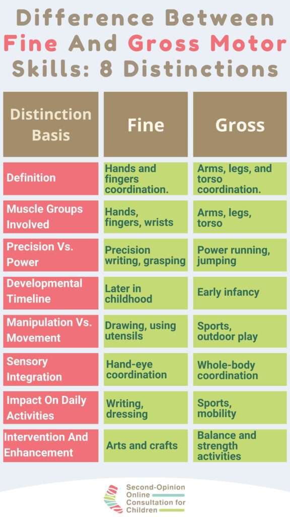 difference between fine and gross motor skills